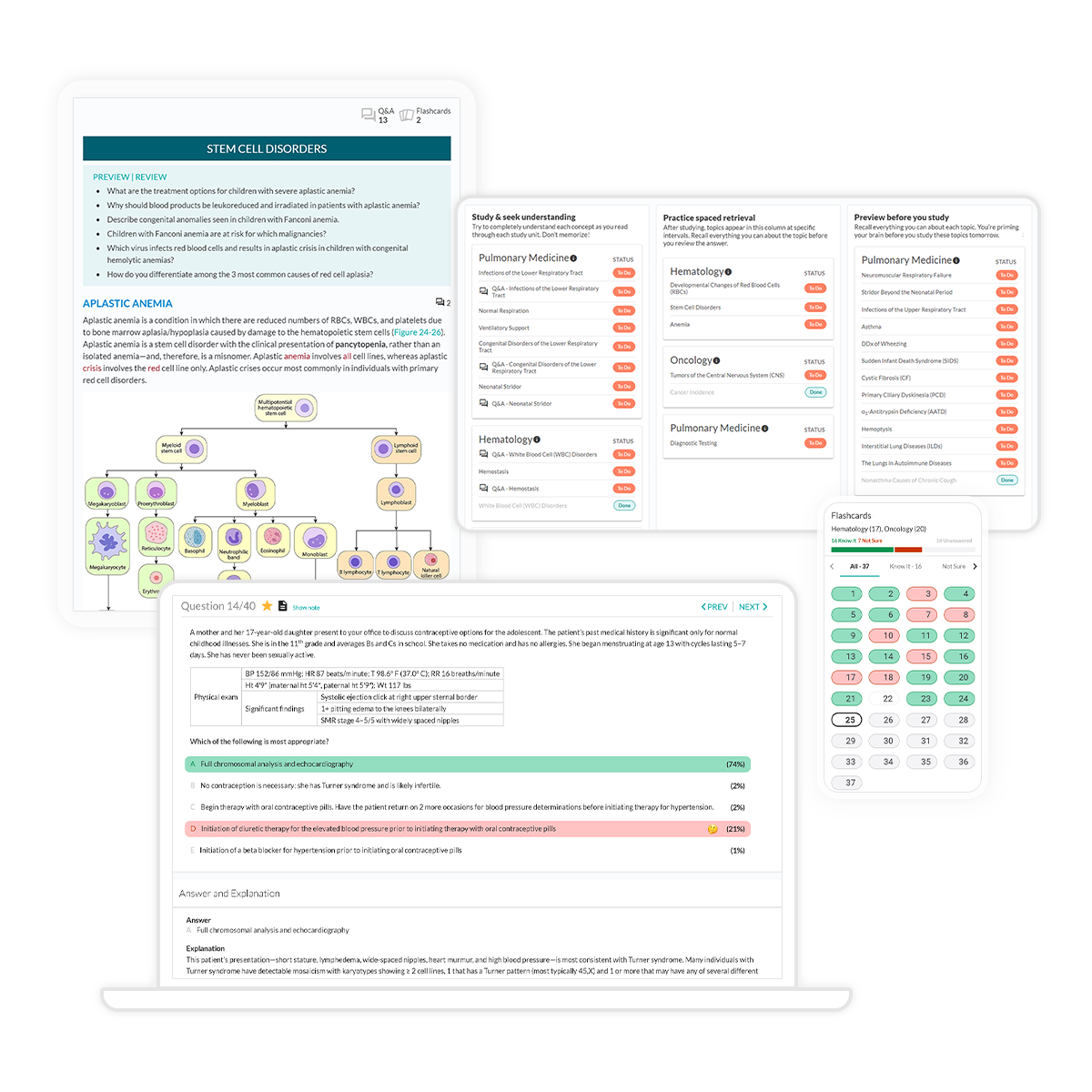 NEW! Pediatrics Study Strong Essentials