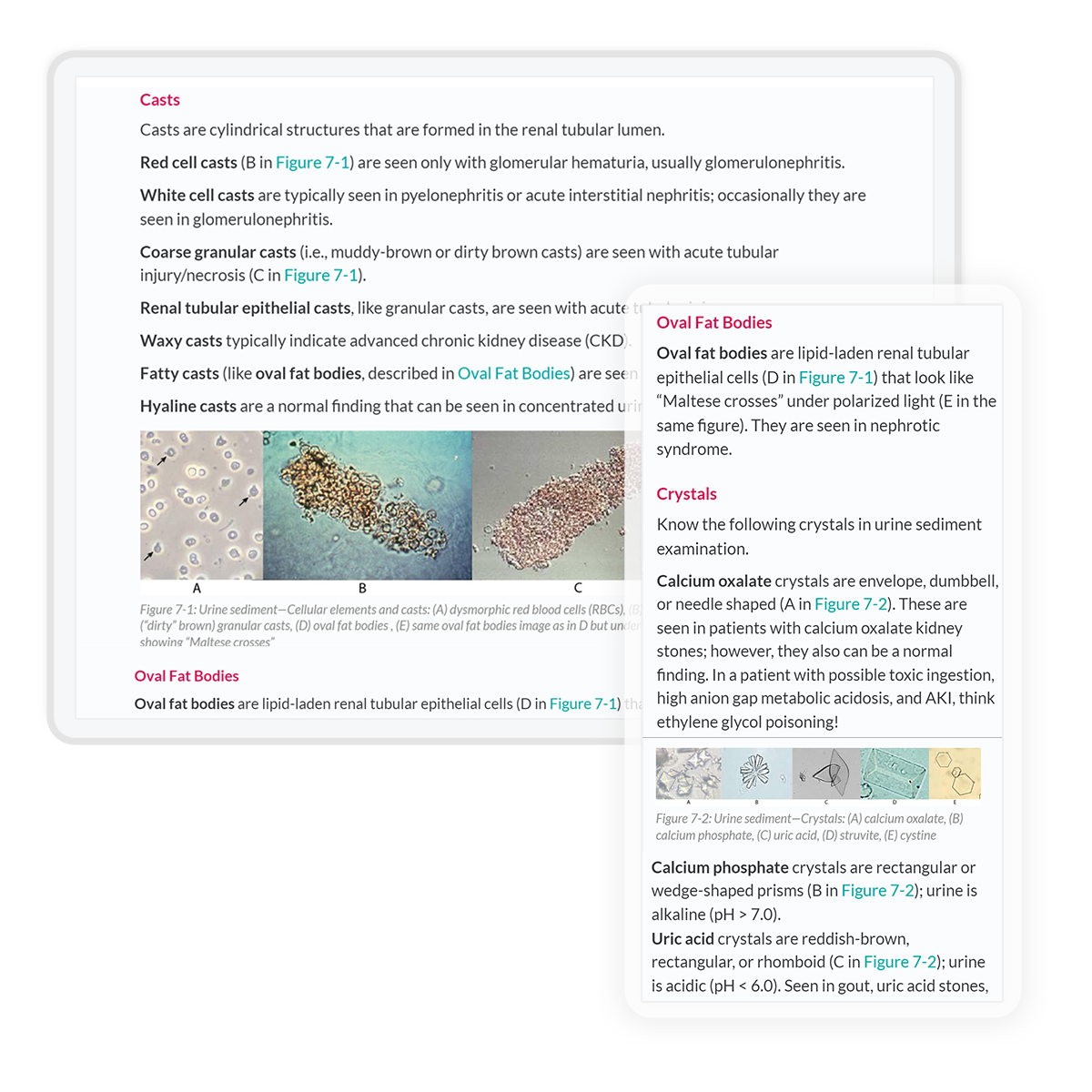 internal medicine core on tablet and phone