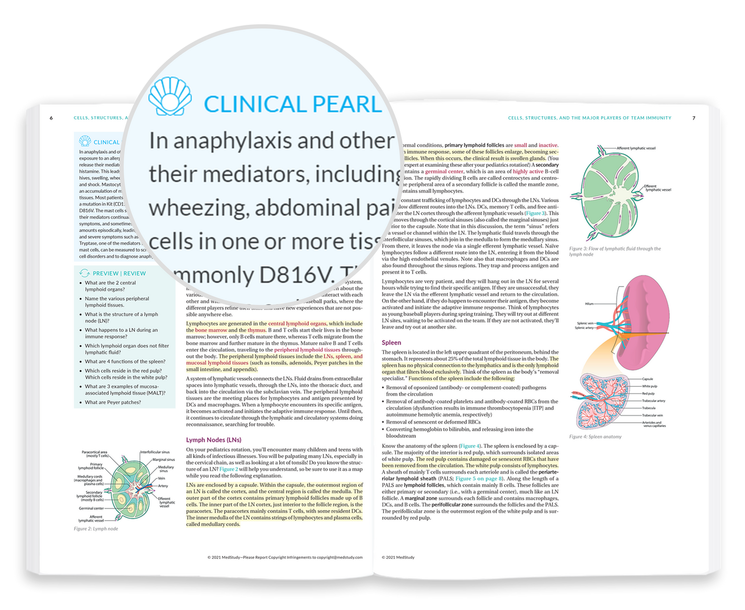 Student Core book open to a two page spread. There is a circle call out on top of the spread showcasing a Clinical Pearl from the page.