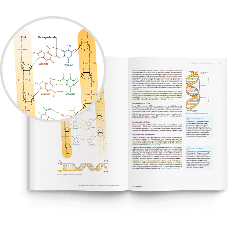 Medical Student Core – MedStudy