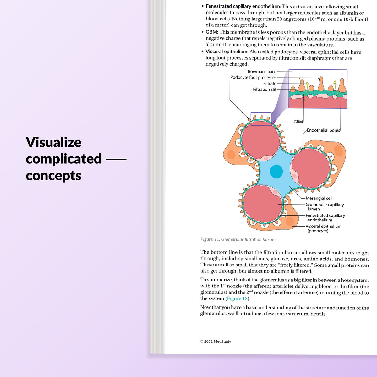 Medical Student Core – MedStudy