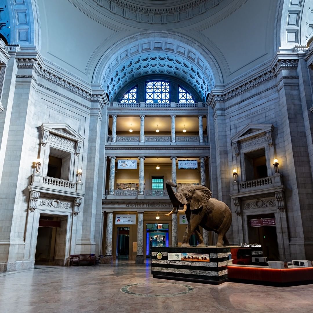 smithsonian museum of natural history
