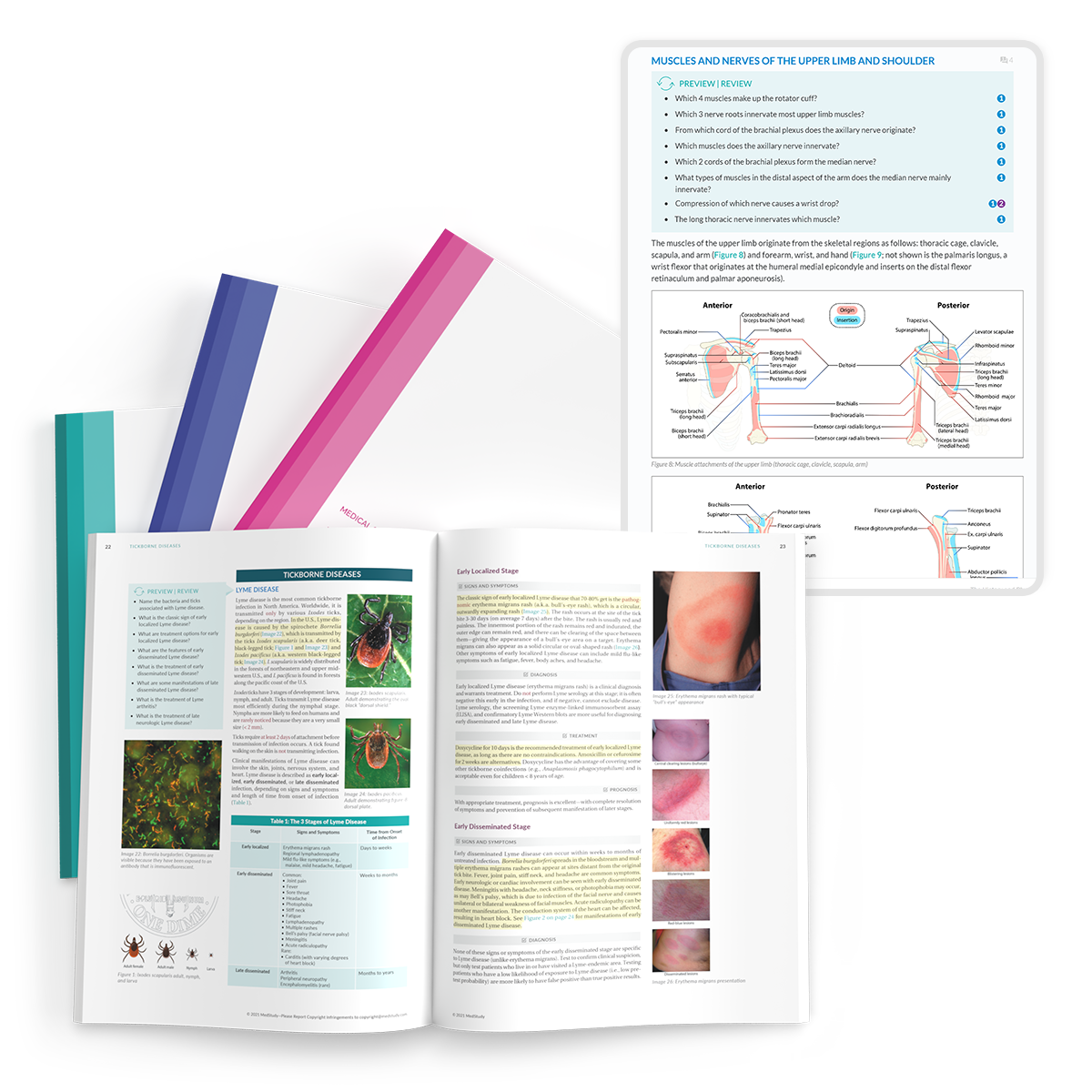 Medical Student Study Strong System